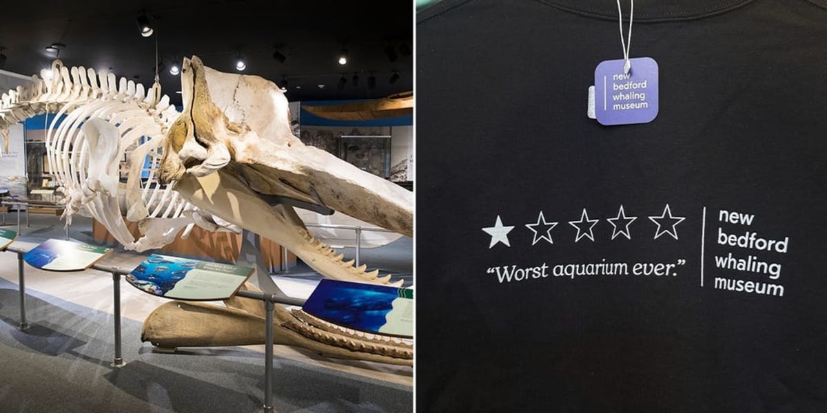 Museum's 'Worst Aquarium Ever' Merch Sales Soar 250% - Image 2
