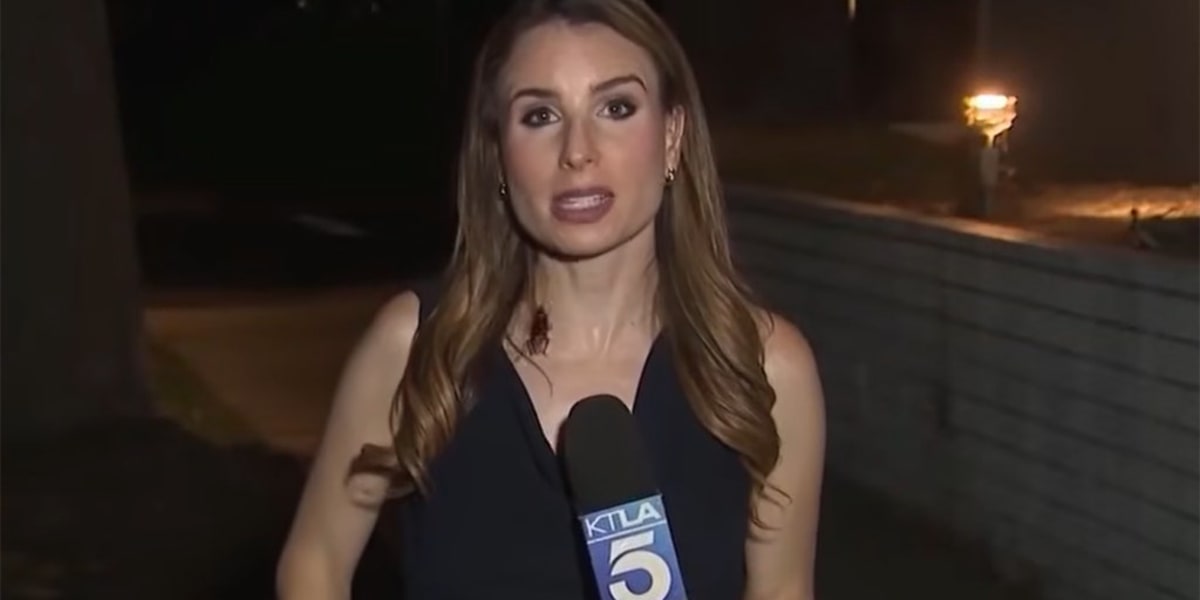 LA Reporter Stays Cool as Cockroach Crawls Up Her Neck - Image 2