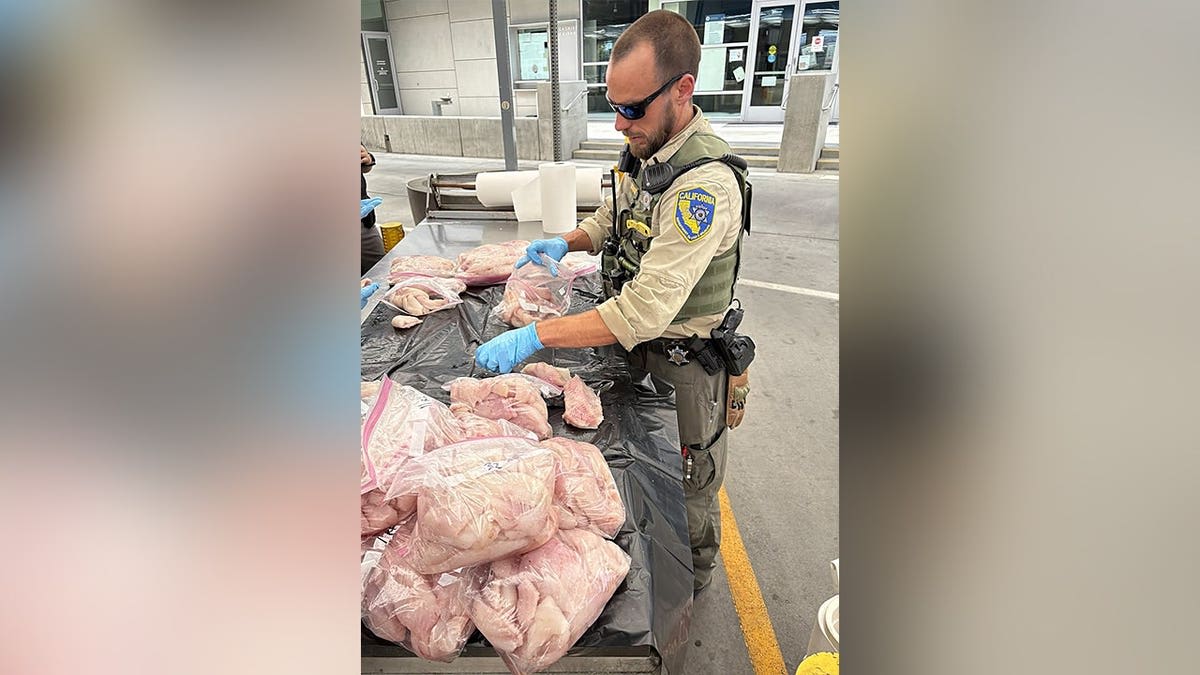 K9 Maisy Saves Ecosystem From 99 Pounds of Illegal Goods - Image 4