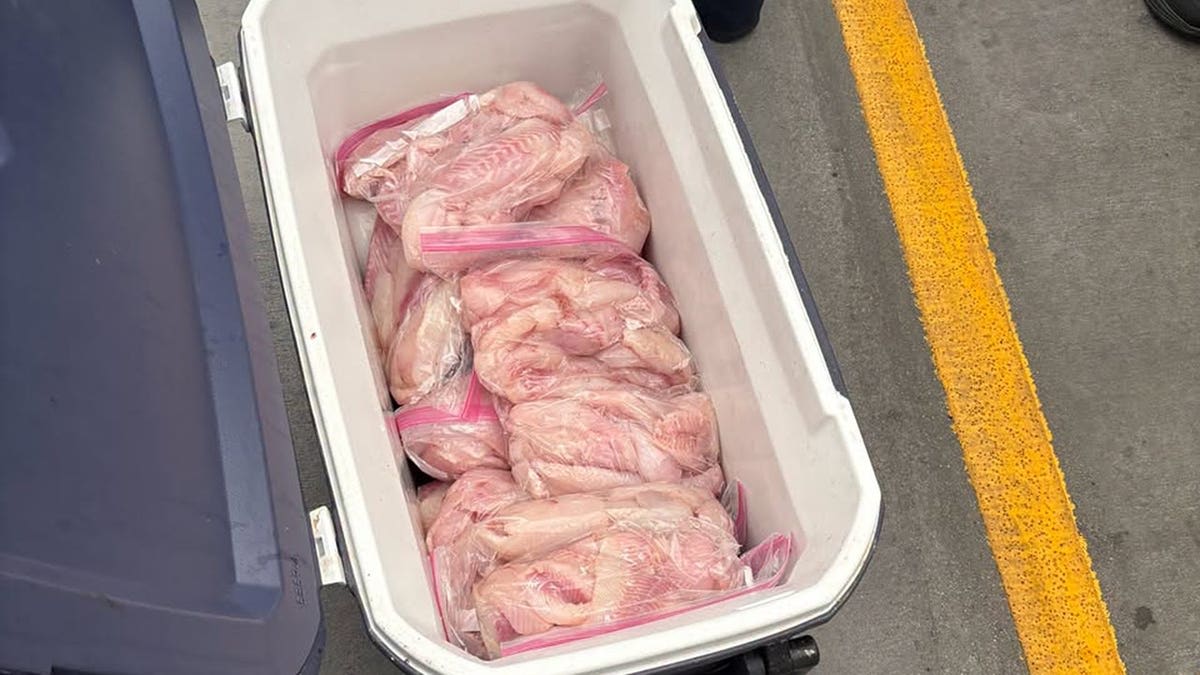 K9 Maisy Saves Ecosystem From 99 Pounds of Illegal Goods - Image 5