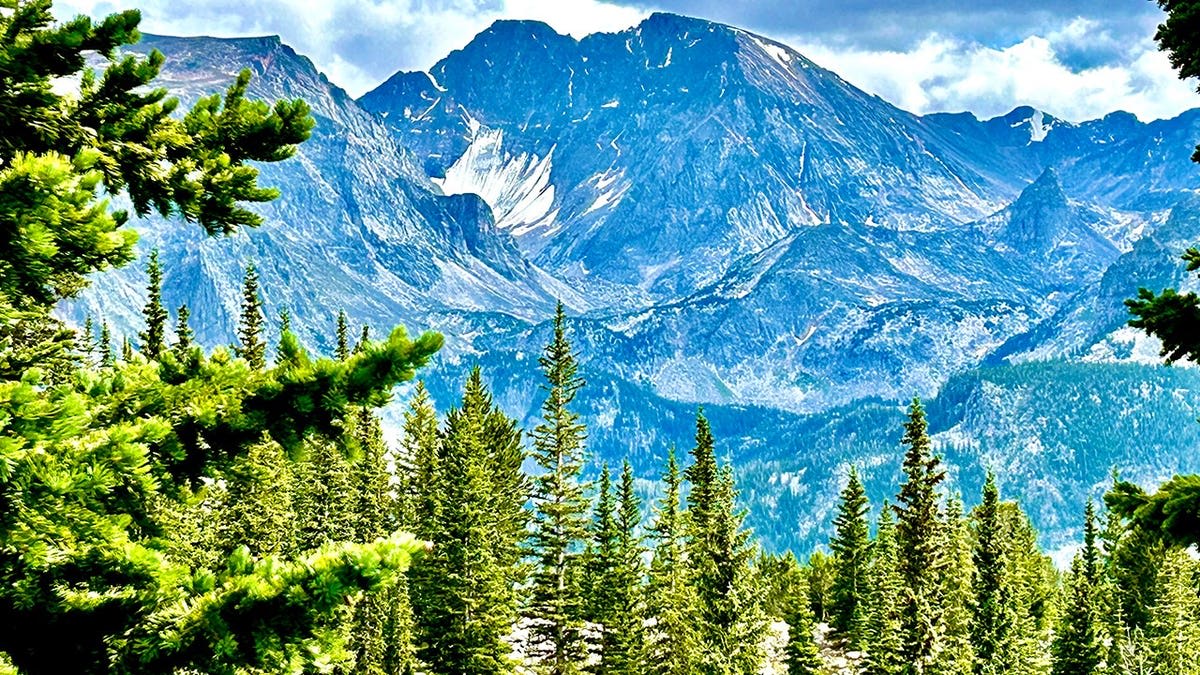 Nurse Hikes 10 Miles with Trekking Pole Through His Body - Image 4