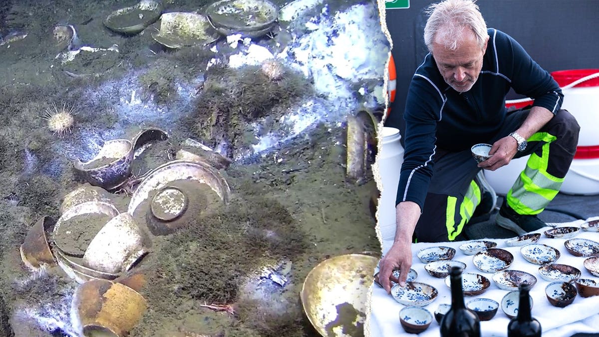 18th-Century Shipwreck Reveals Untouched Chinese Porcelain - Image 3