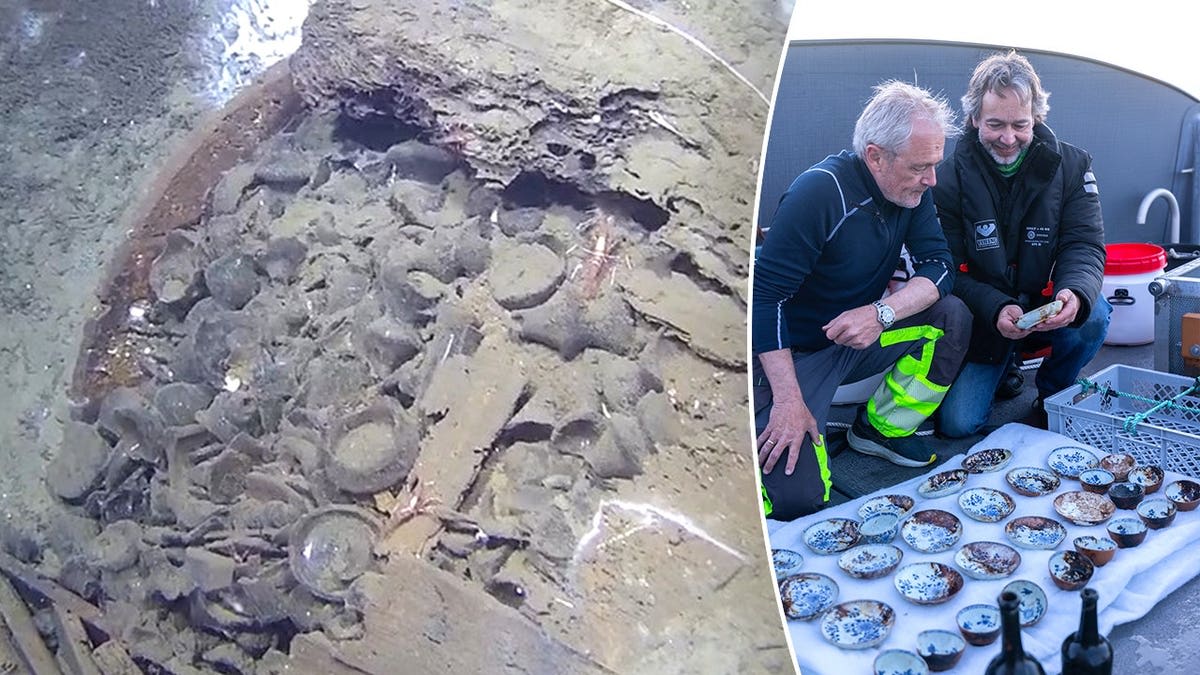 18th-Century Shipwreck Reveals Untouched Chinese Porcelain - Image 5