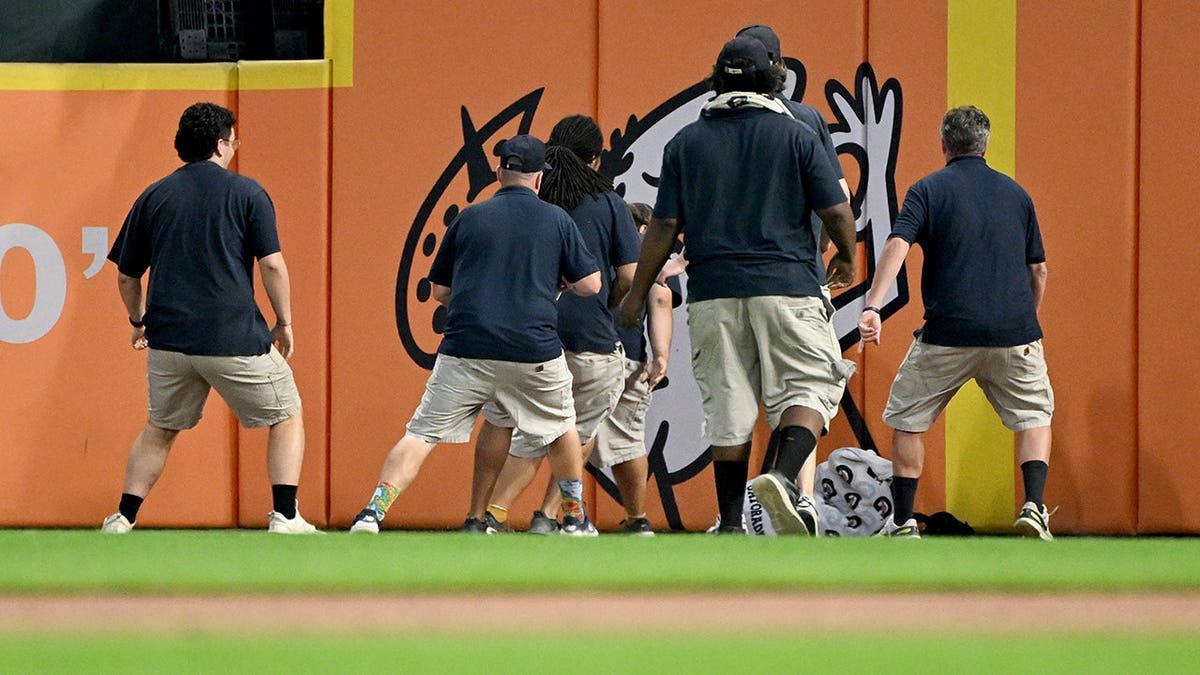 Squirrel Jumps Into Glove During Tigers-Orioles Game - Image 3