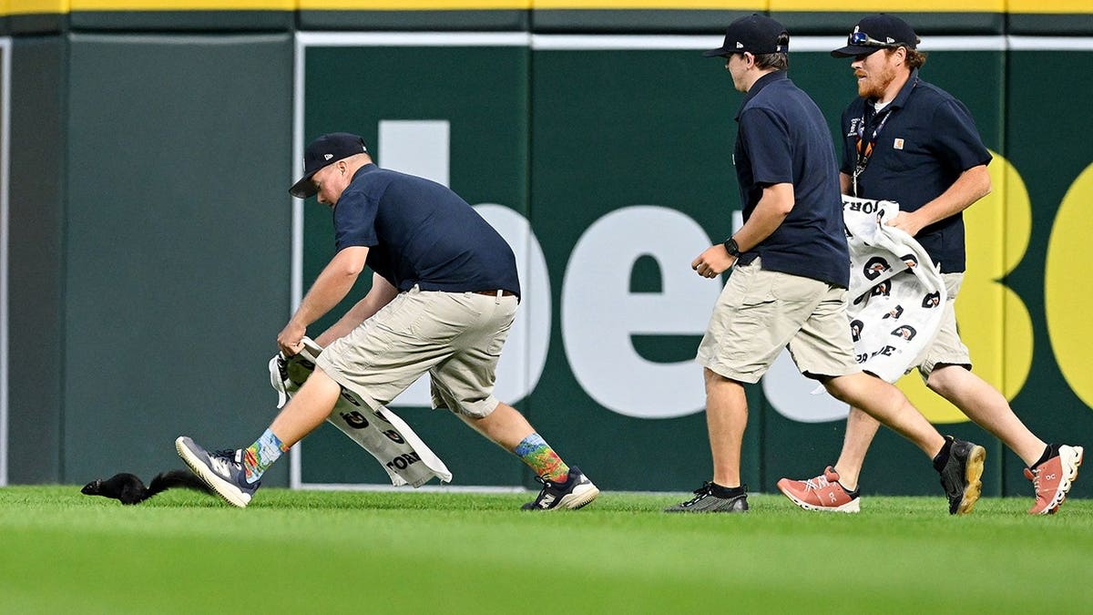 Squirrel Jumps Into Glove During Tigers-Orioles Game - Image 5