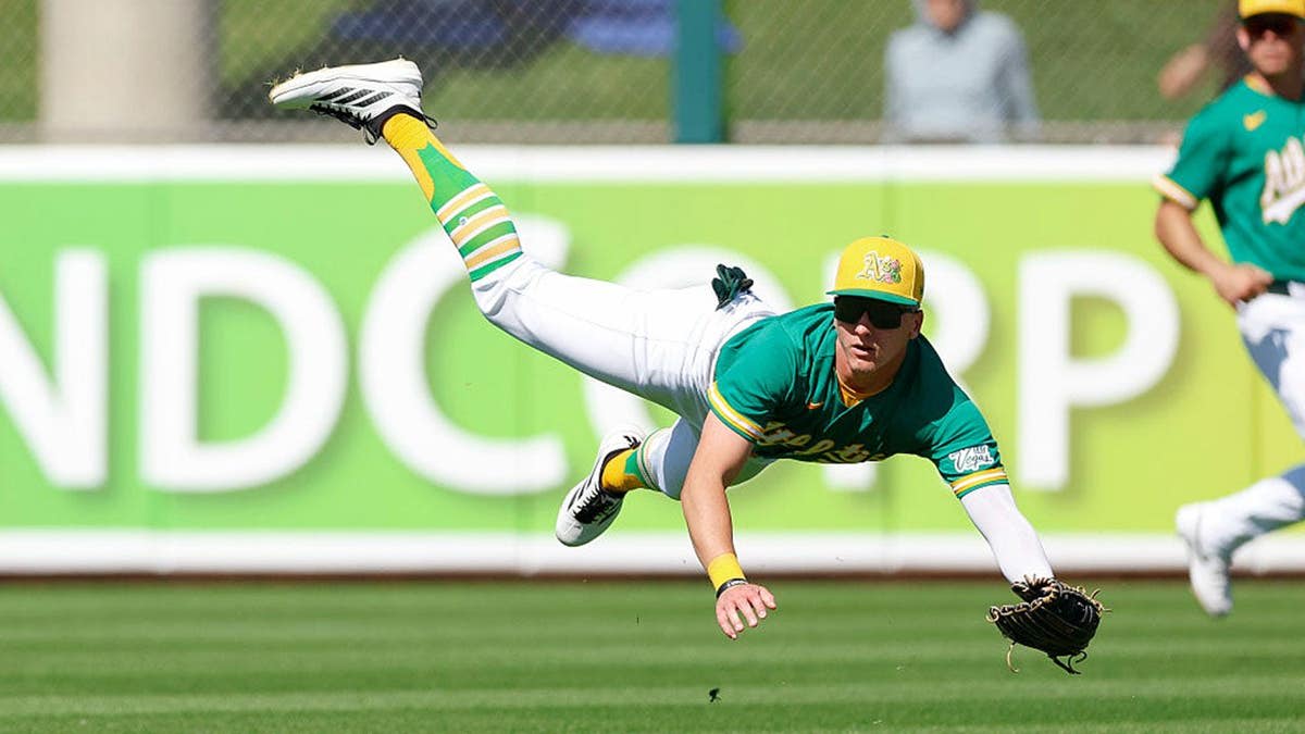 Baseball Prospect Regains Feeling After Scary Injury - Image 4