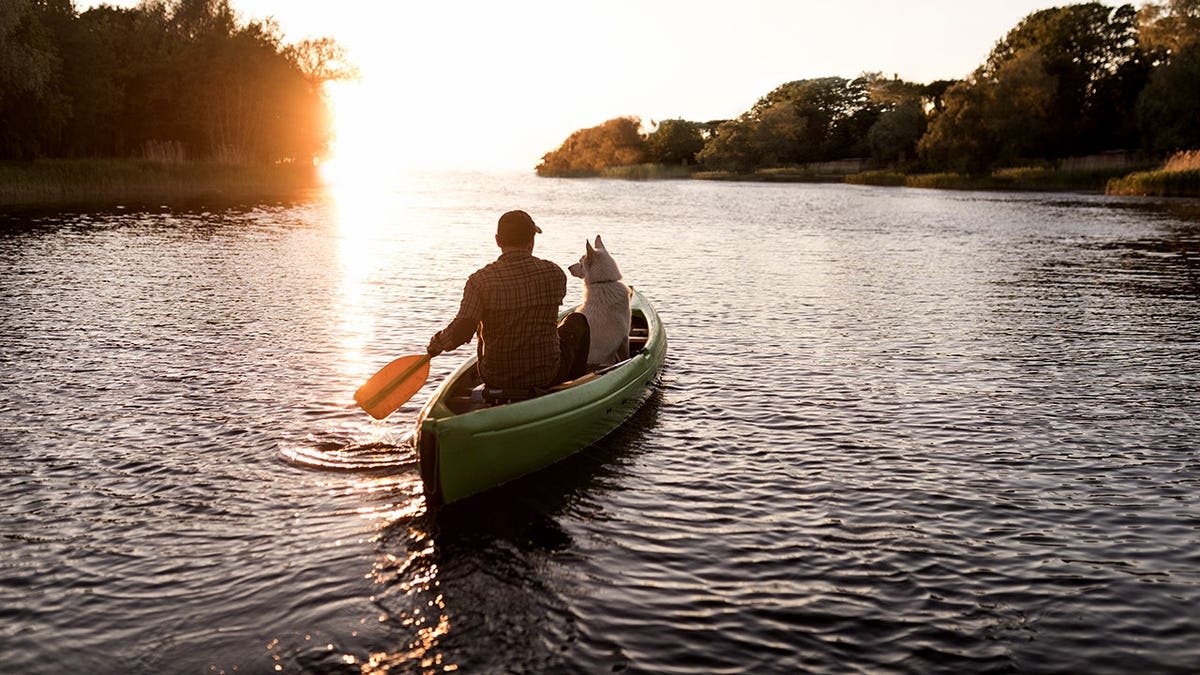 Cancer Survivor Canoes 2,000 Miles With His Dog After Cure - Image 4