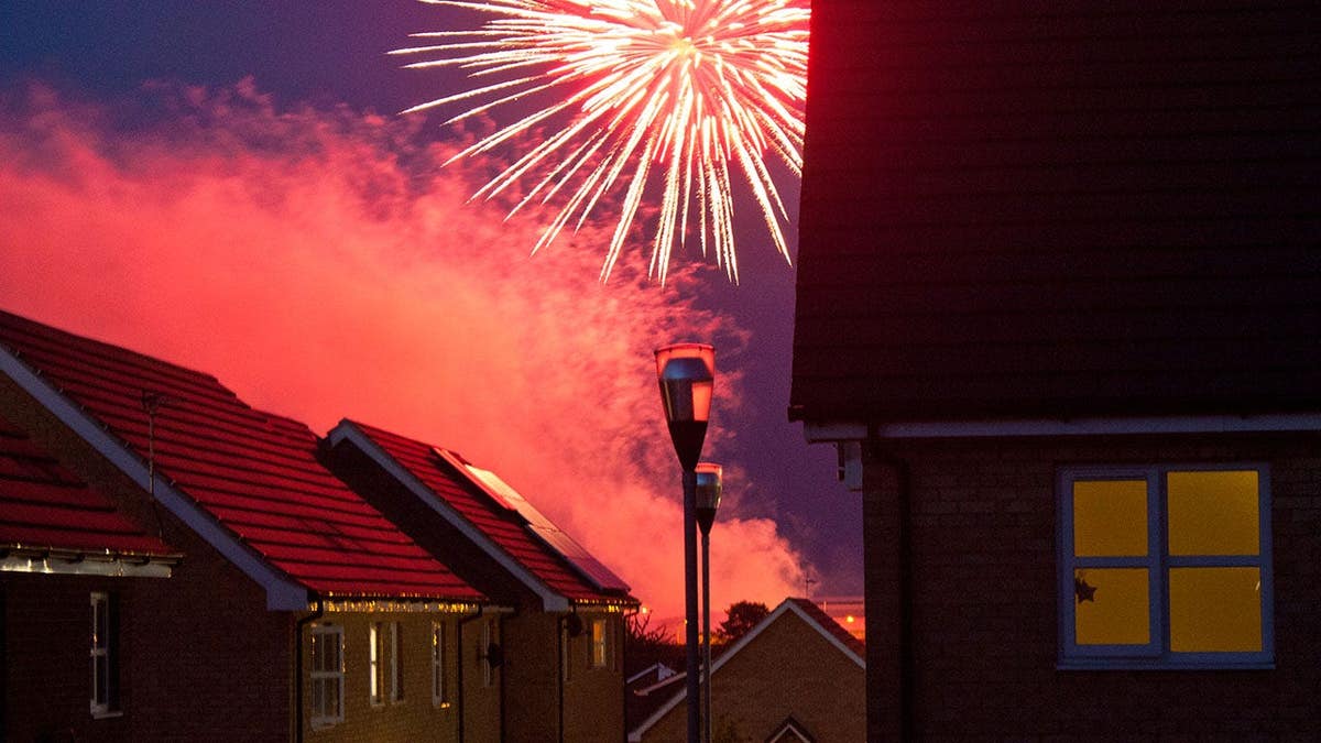 Navy Vet Saves Two Homes from Firework Fire in Washington - Image 3