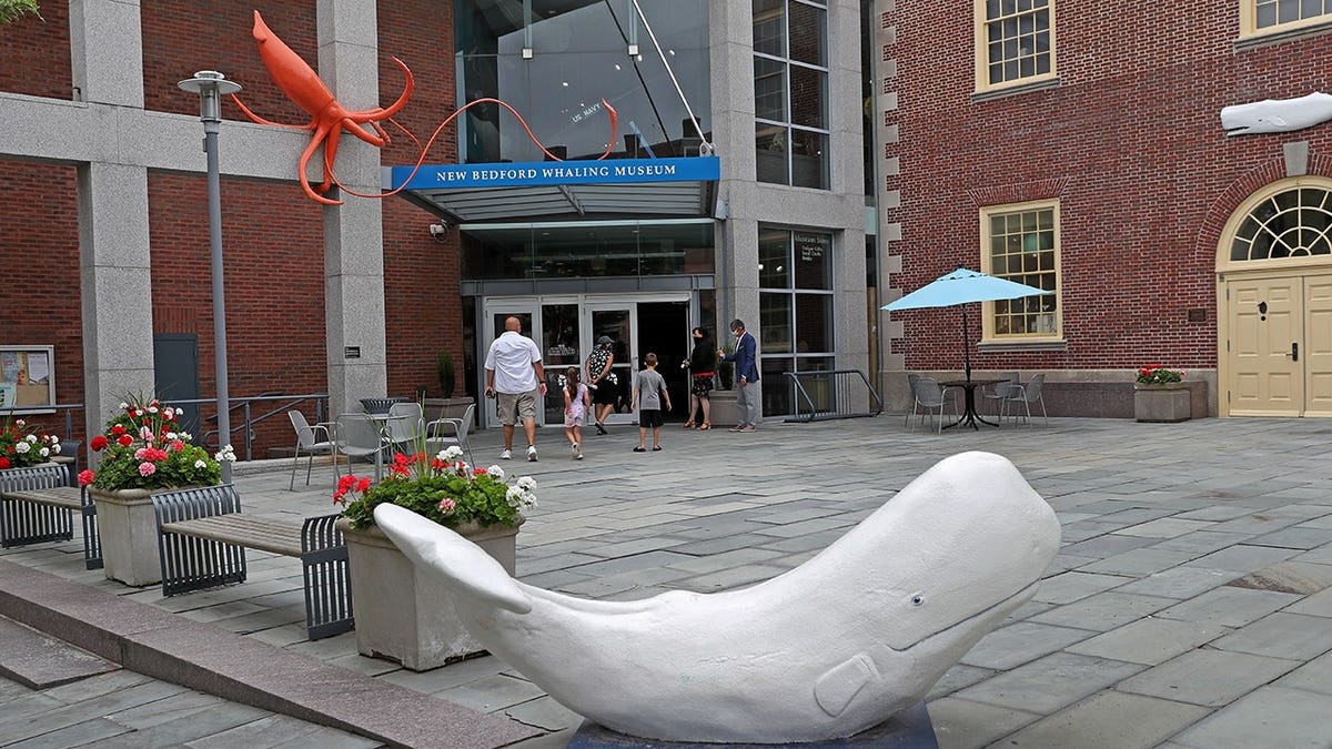 Museum's 'Worst Aquarium Ever' Merch Sales Soar 250% - Image 5