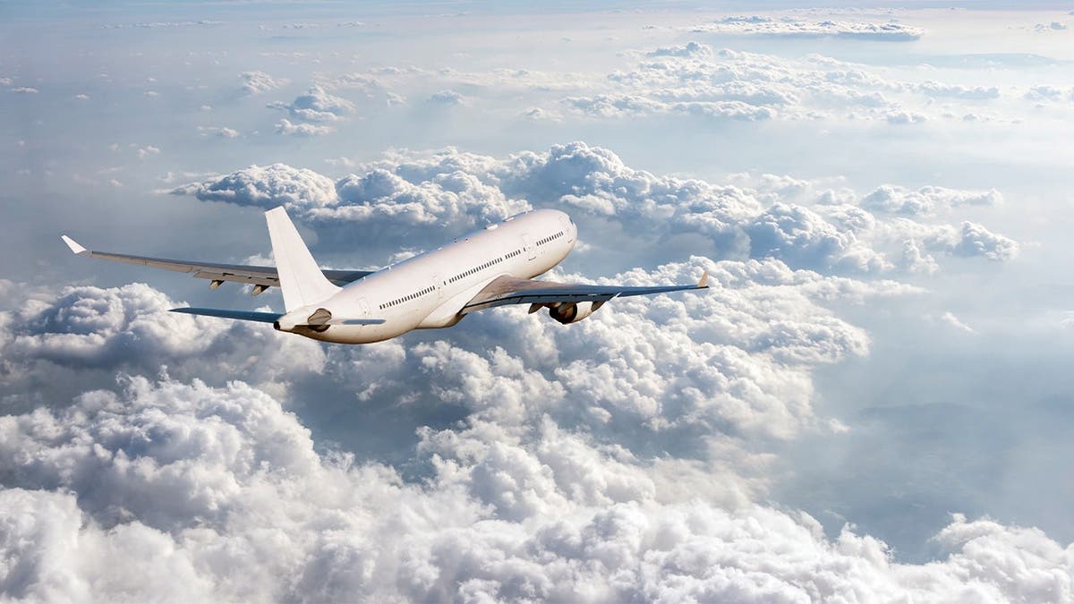 Passenger Streams Argentina's World Cup Win for Entire Plane - Image 5