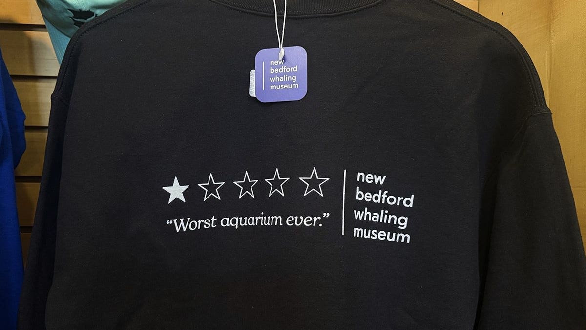 Museum's 'Worst Aquarium Ever' Merch Sales Soar 250% - Image 4