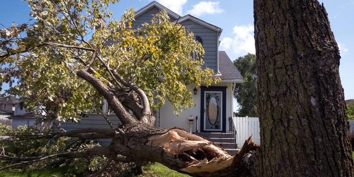 Chicago Nonprofits Rally to Help Gary After Deadly Storm - Image 2