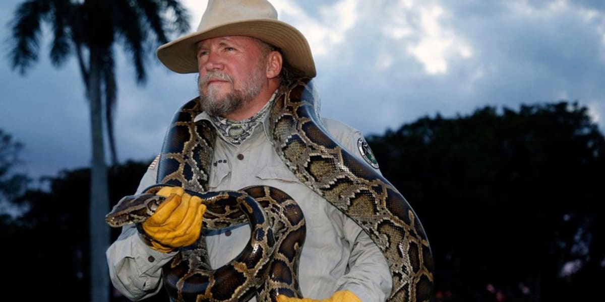 Florida Hunter Captures 96 Pythons in 10 Days, Wins Challenge - Image 2
