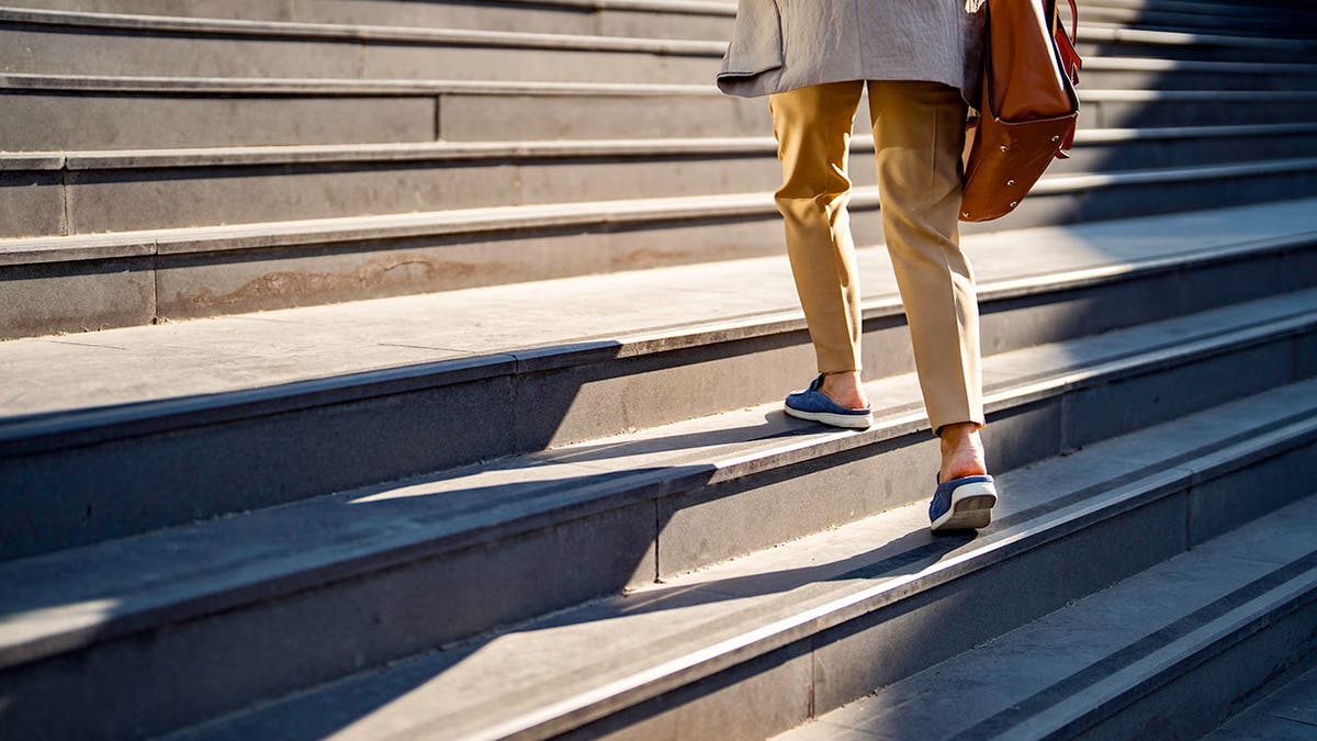 Climbing Stairs Cuts Heart Death Risk by 39% - Image 3
