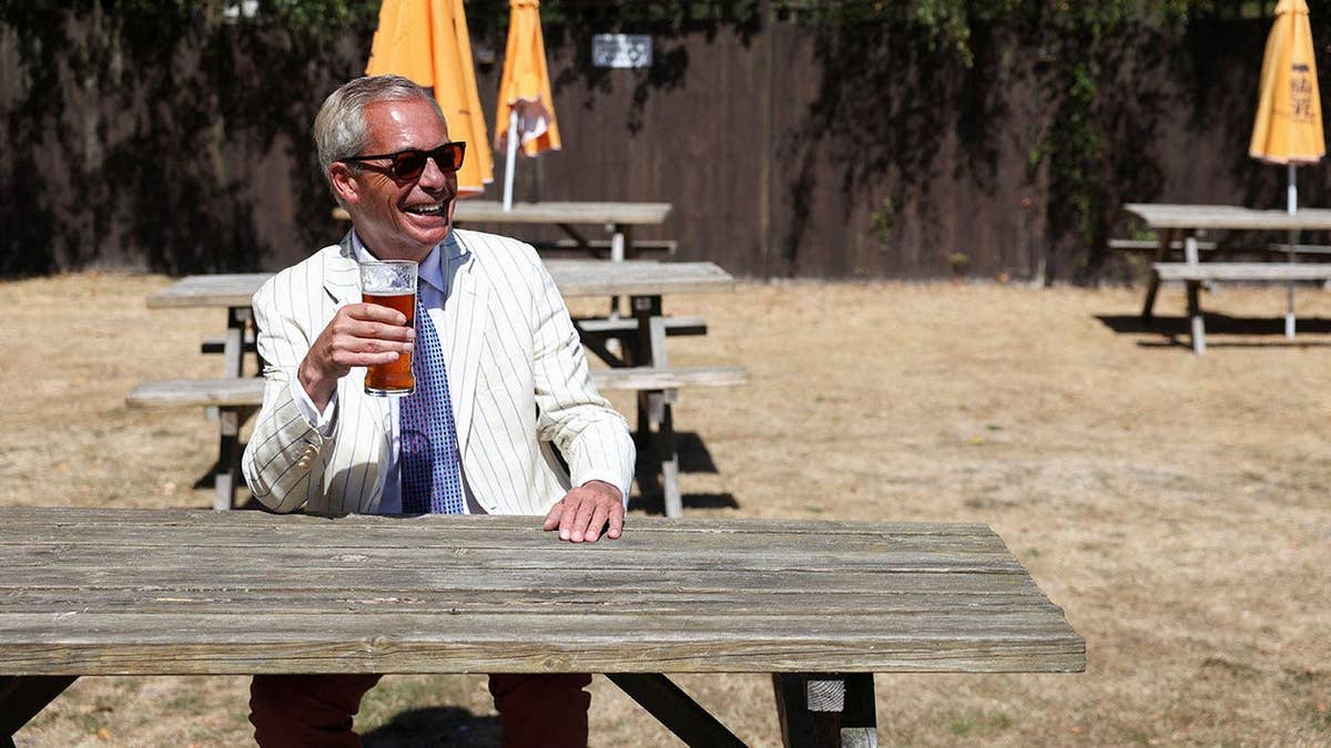 Farage Wins Re-election After Calling Voter Referendum - Image 5