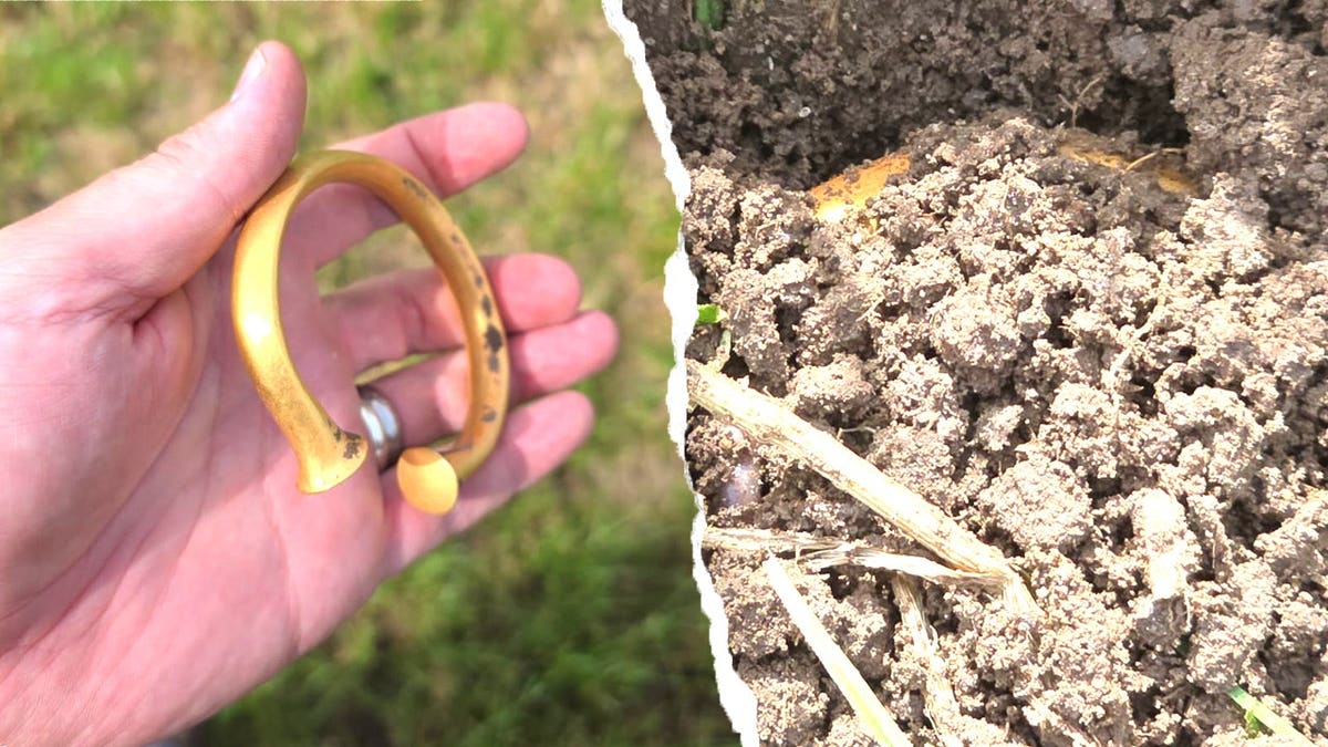 Two Friends Find $400K Gold Treasure After Years of Zilch - Image 4