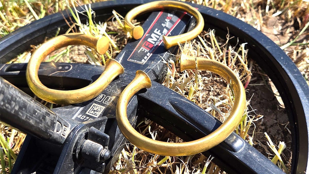 Two Friends Find $400K Gold Treasure After Years of Zilch - Image 5