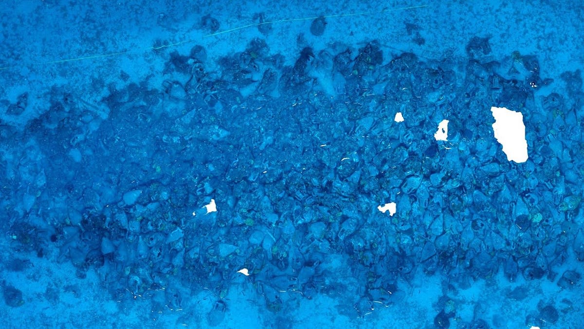 2,400-Year-Old Shipwreck Found With 600 Ancient Jars - Image 5