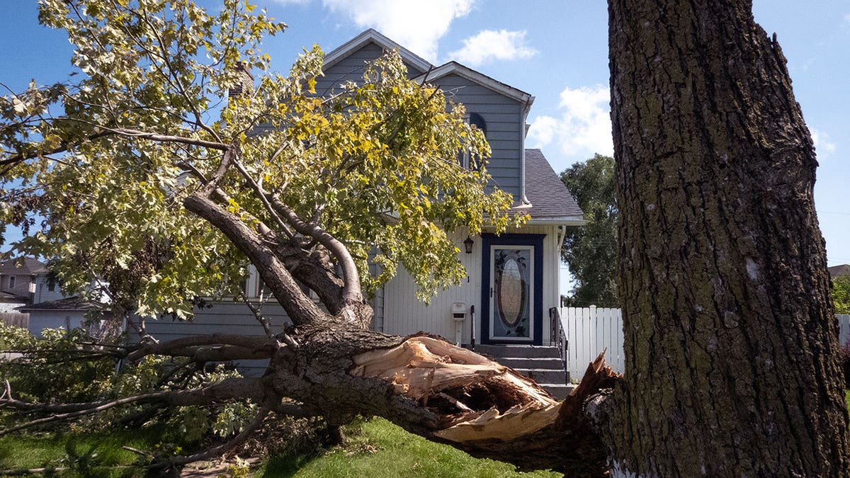 Chicago Nonprofits Rally to Help Gary After Deadly Storm - Image 4