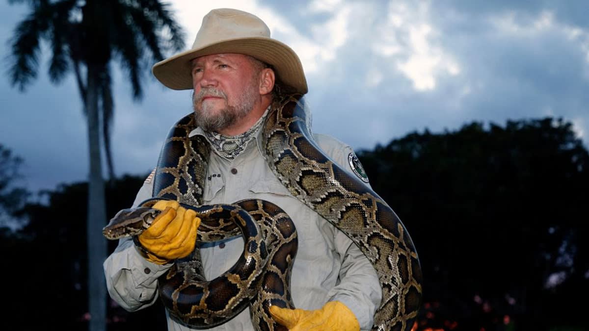 Florida Hunter Captures 96 Pythons in 10 Days, Wins Challenge - Image 3