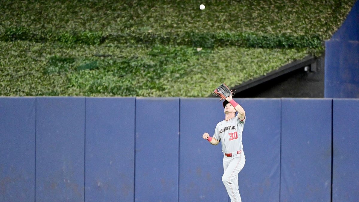 Nationals Outfielder's Wall-Climbing Catch Stuns Baseball - Image 5