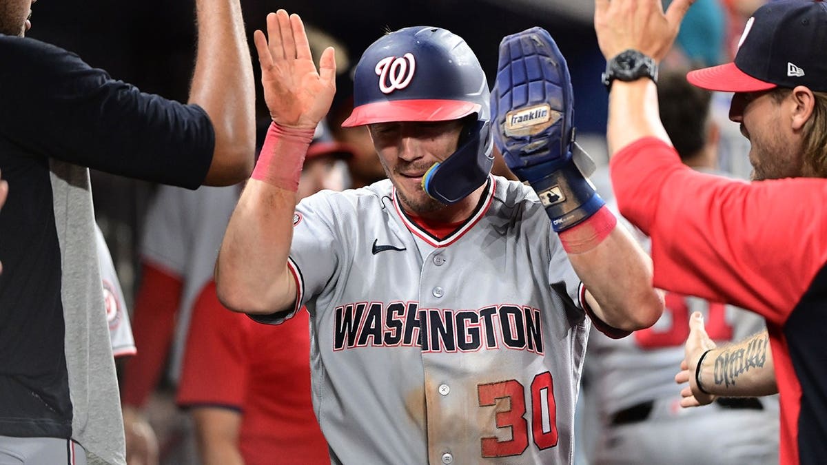 Nationals Outfielder's Wall-Climbing Catch Stuns Baseball - Image 4