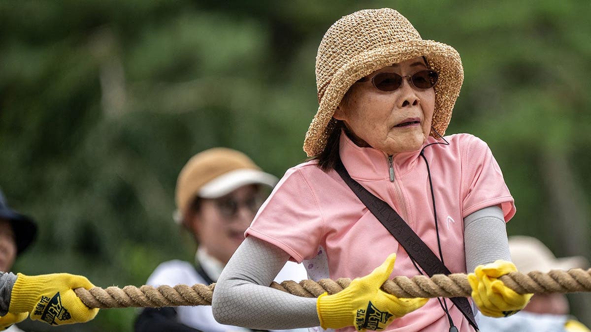 1,800 Volunteers Pull 360-Ton Japanese Castle by Hand - Image 4