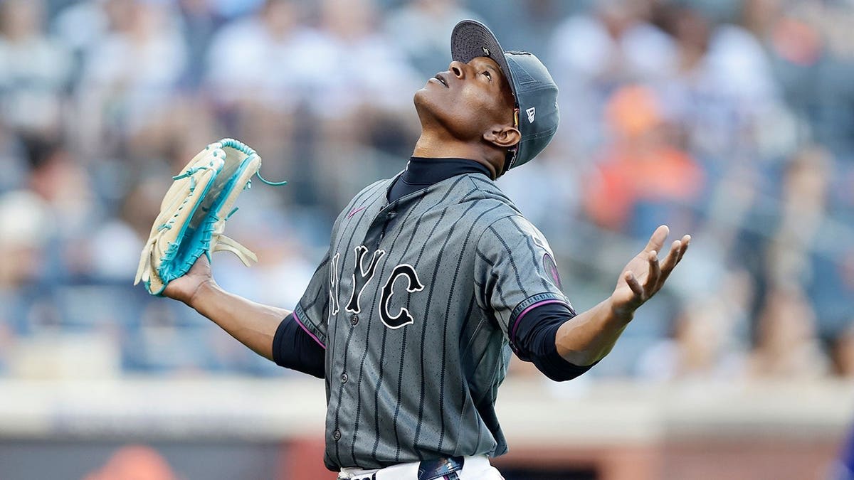 Mets Rookie Jefry Yan Celebrates Strikeout Too Early, Wins Anyway - Image 3
