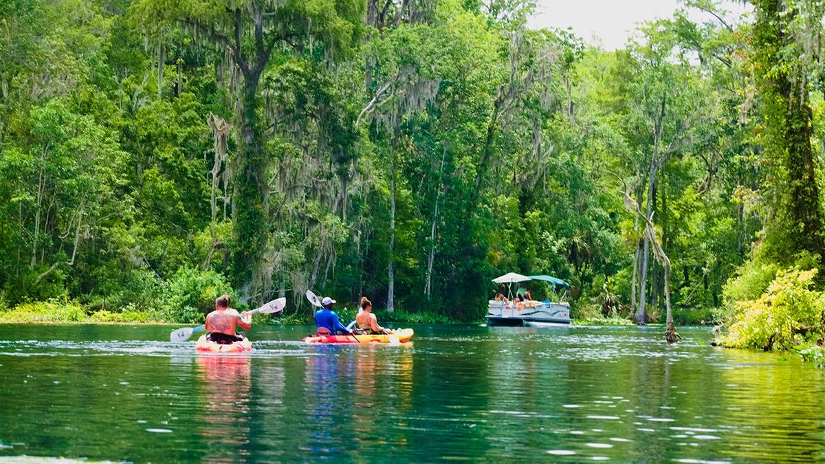 Boater Saves Florida Swimmer After Gator Attack - Image 4