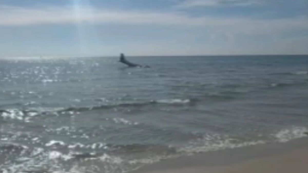23-Year-Old Pilot Safely Lands Plane in Atlantic Ocean - Image 4