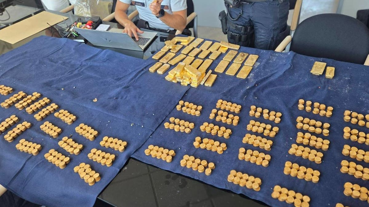 Belgian Workers Find $10M in Gold Under Old Brewery - Image 5