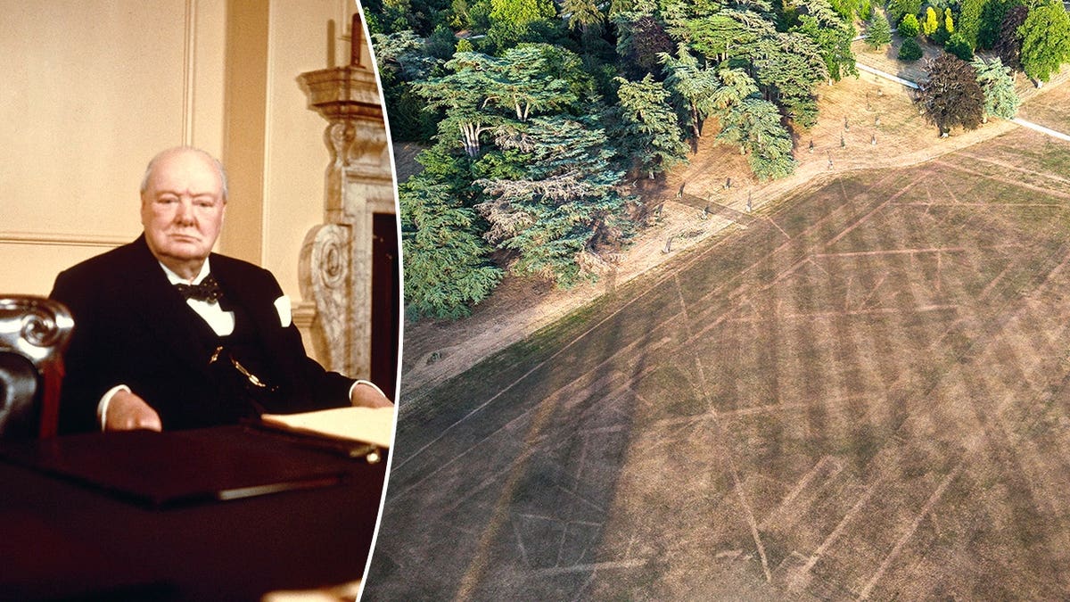 Heat Wave Reveals Lost Churchill Garden at Blenheim Palace - Image 4