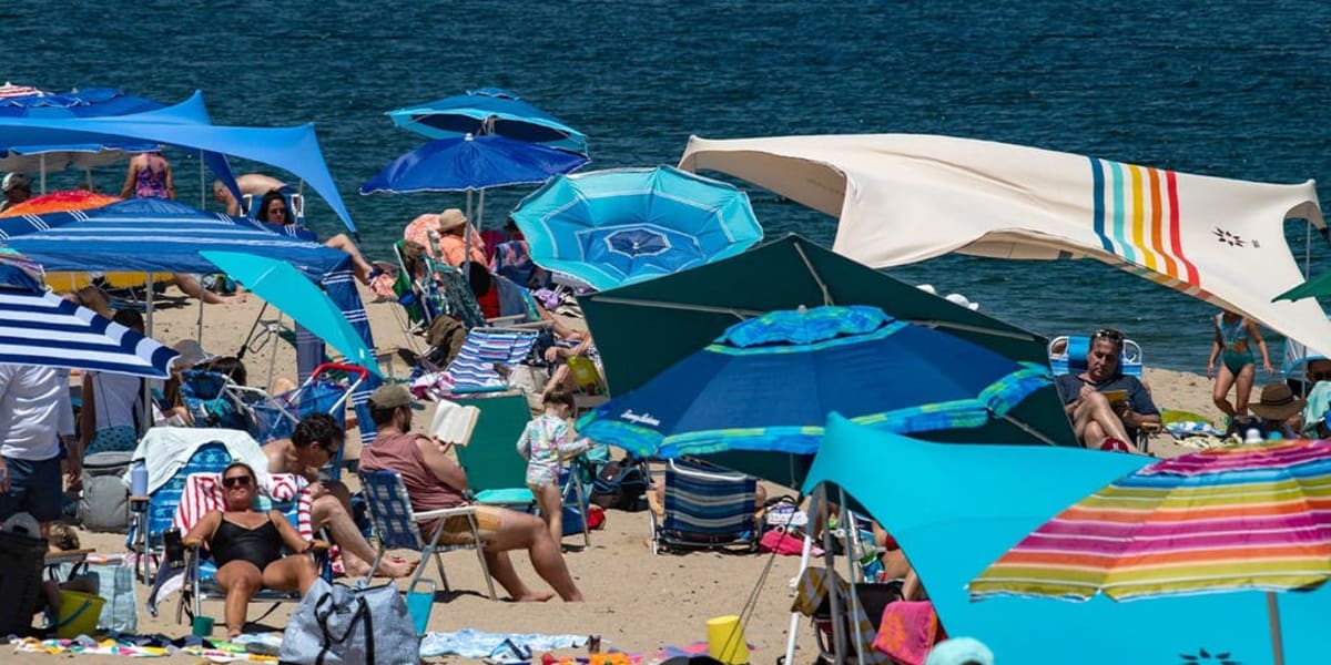 Cape Cod Turns Great White Sharks Into $2.8B Tourism Boom - Image 2
