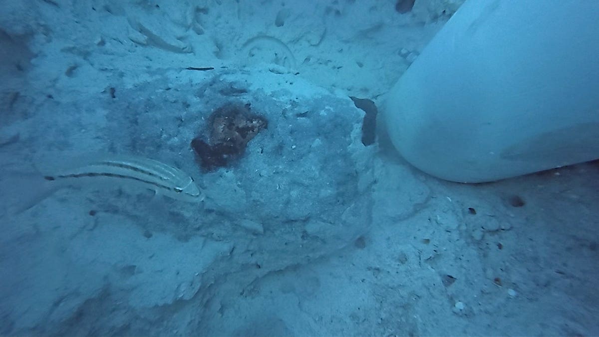 Treasure Hunters Find 55-Pound Copper Ingot Off Florida Keys - Image 5