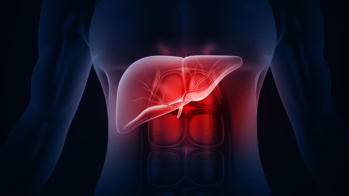Keto Diet Cuts Liver Fat 67% in New Study - Image 5