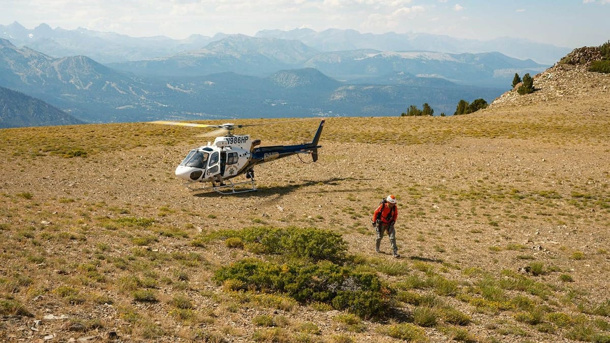 14 Rescuers Save Climber Stranded on 6-Inch Ledge at 11,000 Feet - Image 5