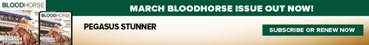 Horse Racing Championship Pledges $5K to Retired Horses - Image 5