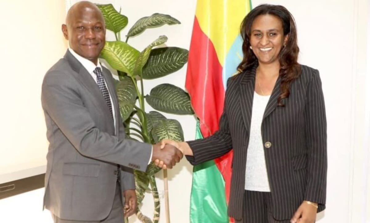 African Development Bank Invests $1.2B in Ethiopia - Image 2