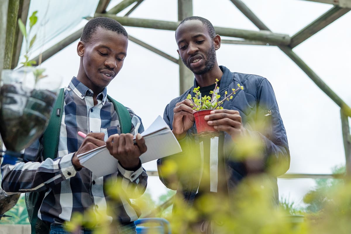 African university students working together on technology innovation and startup development in modern laboratory setting