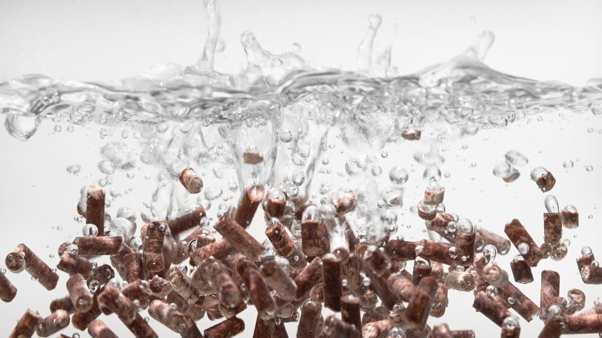 Saudi Arabia Building World's Largest Protein Plant - Image 3