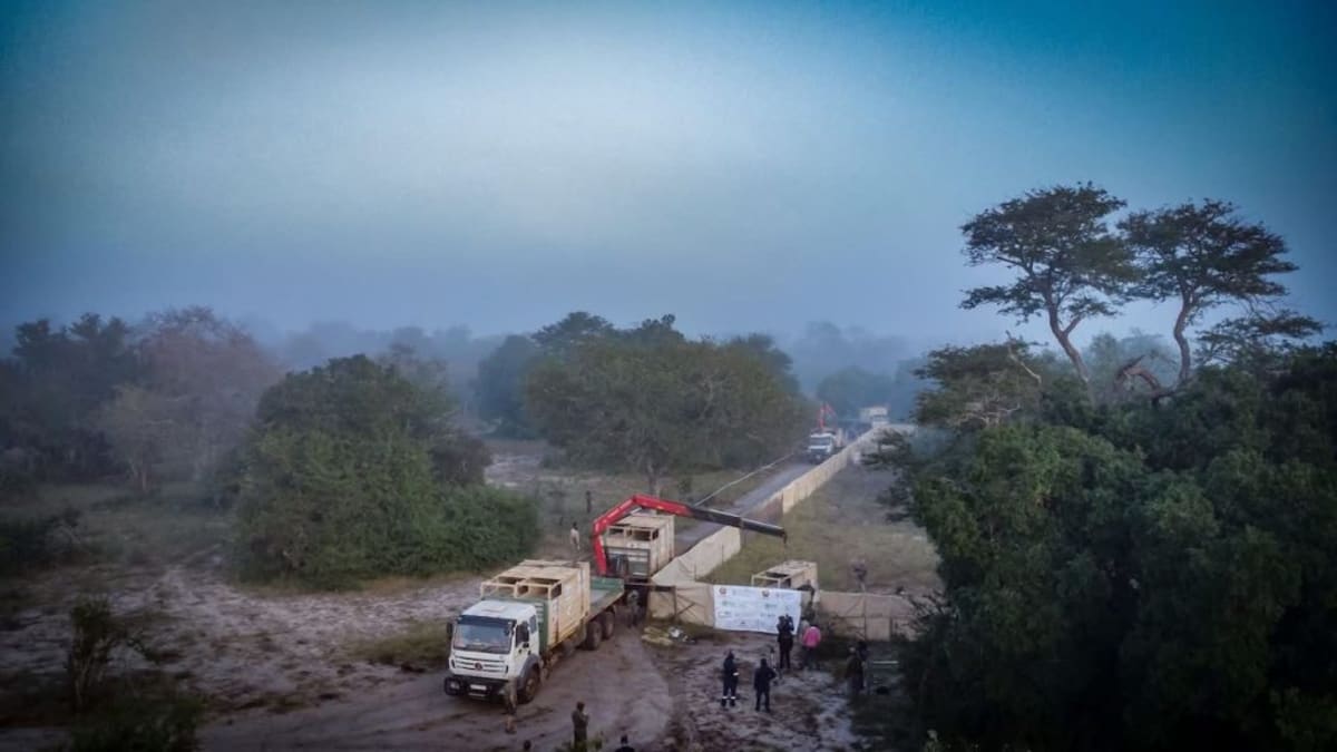 Mozambique Park Brings Back 2,400 Animals in 10 Years