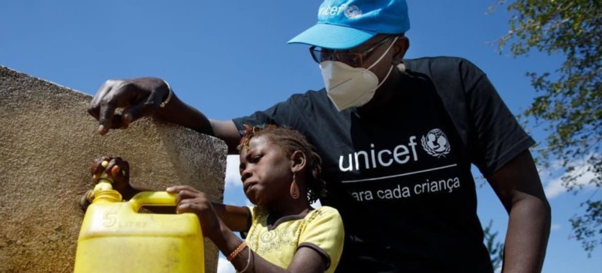 Mozambique Park Brings Back 2,400 Animals in 10 Years - Image 4