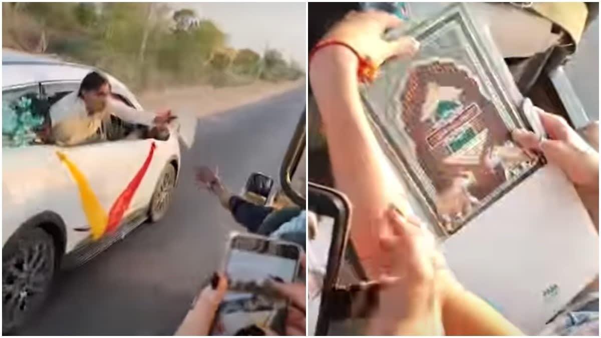 Groom Invites Italian Safari Tourists to His Indian Wedding