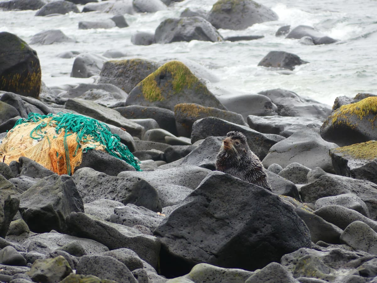 Alaskans Remove 1.5M Pounds of Trash From Beaches in 2025 - Image 3