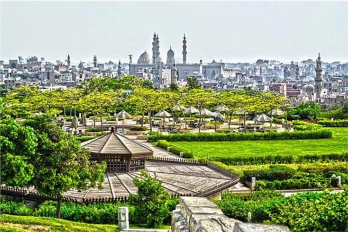 Egypt Plants 200,000 Trees in Phase 4 of Green Initiative