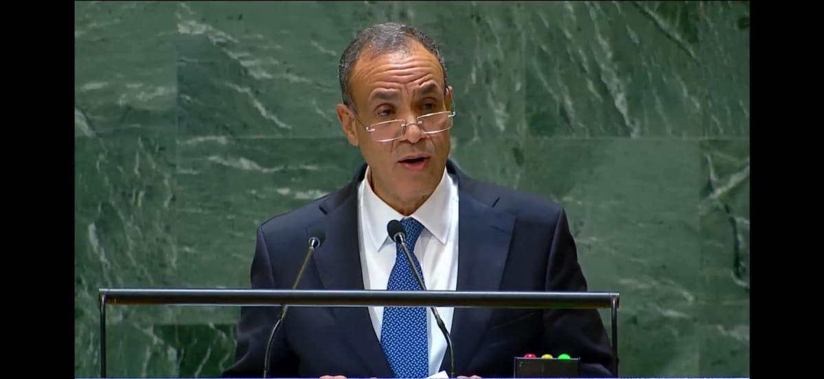 Egyptian Foreign Minister speaking during virtual meeting with expatriate community members abroad