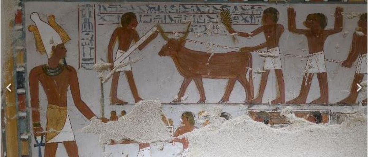 Ancient Egyptian tomb wall paintings showing colorful scenes of daily life and funeral rituals