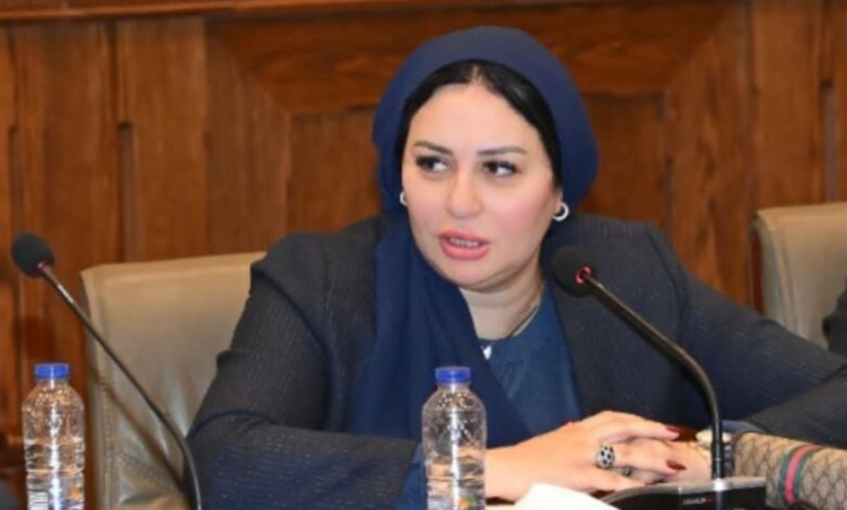 Egypt Senator Proposes 'Generation Maker' on National IDs - Image 2