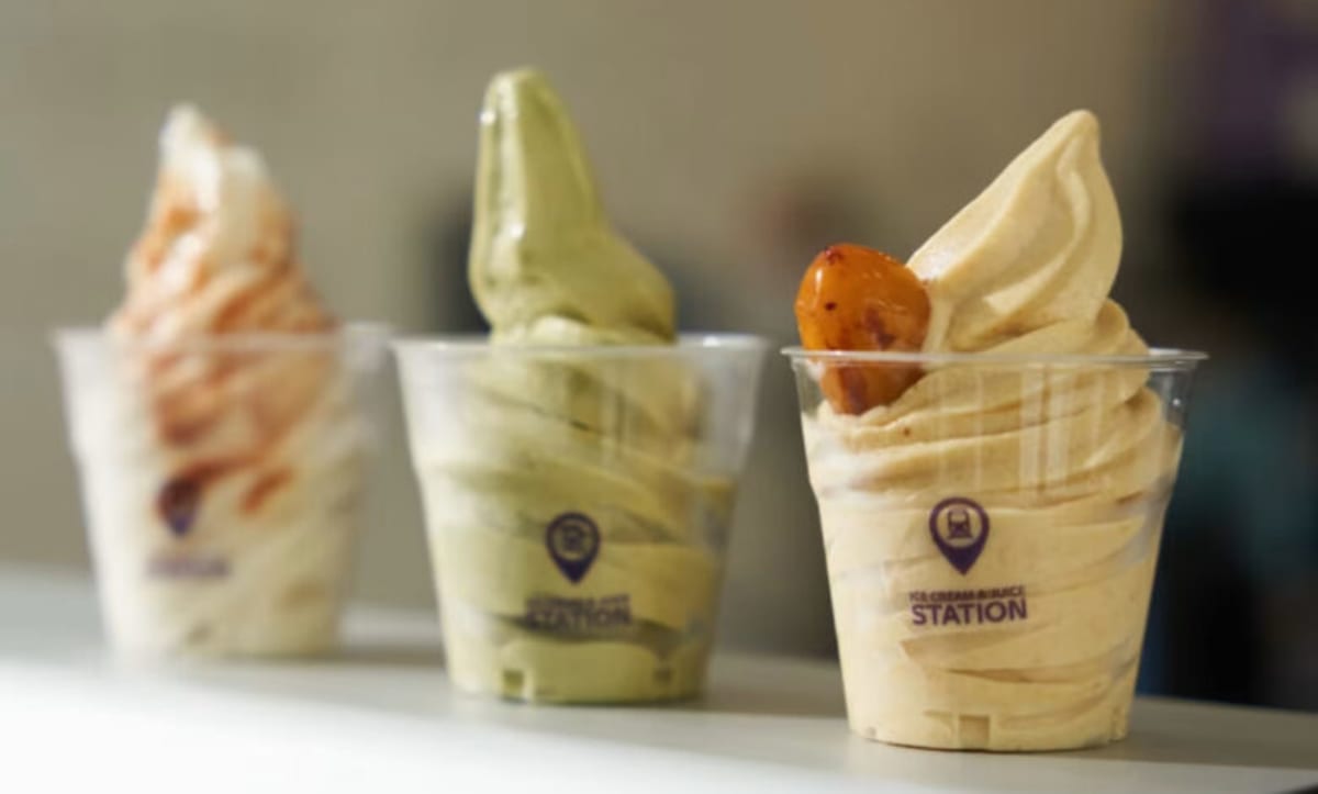 Abu Dhabi Ice Cream Shop Uses Every Part of Date Palm Tree - Image 2