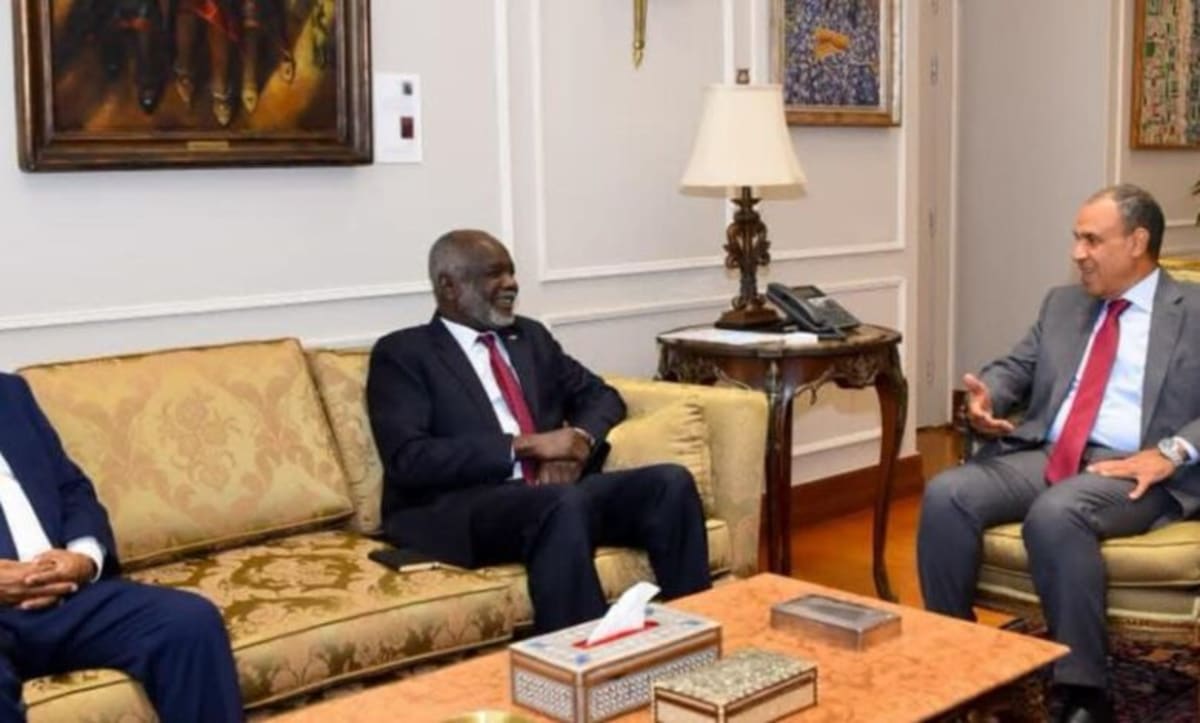 Egypt Offers Reconstruction Support to Rebuild Sudan - Image 2